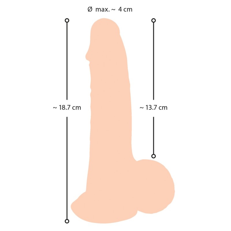 Realistyczny żylasty penis z przyssawką 19 cm